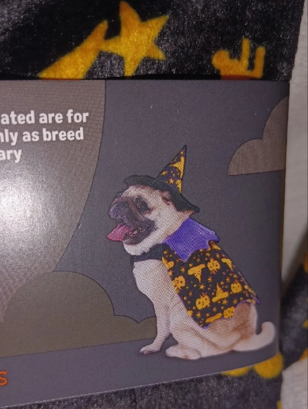 Halloween Bundle : Costume For Dog Size M And 3 Balls